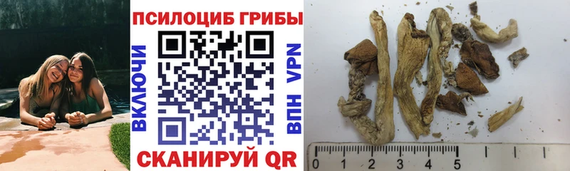 Галлюциногенные грибы GOLDEN TEACHER Никольское